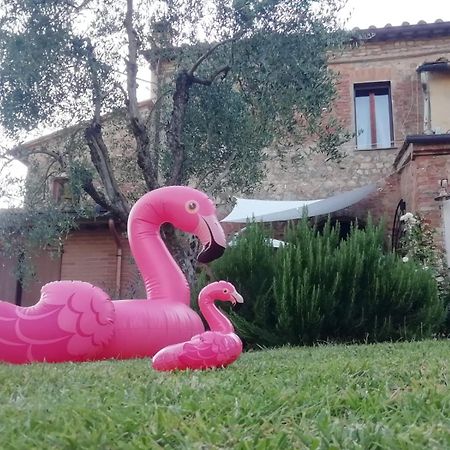 Agli Olivi Di Marciano Apartment Сиена Екстериор снимка