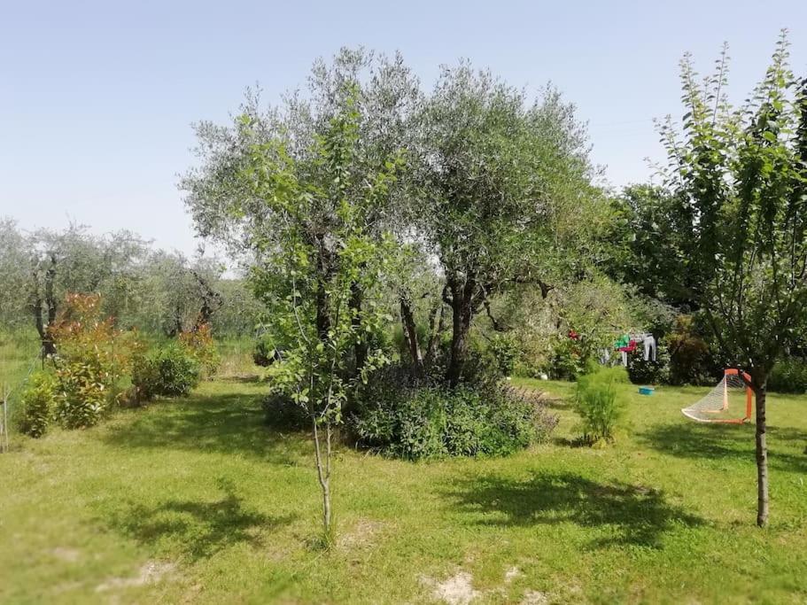 Agli Olivi Di Marciano Apartment Сиена Екстериор снимка